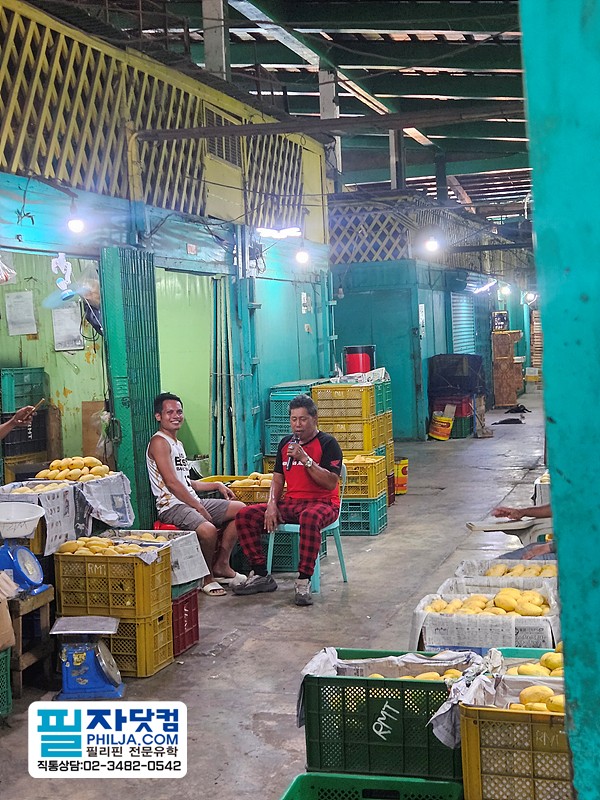 필자닷컴 투어후기