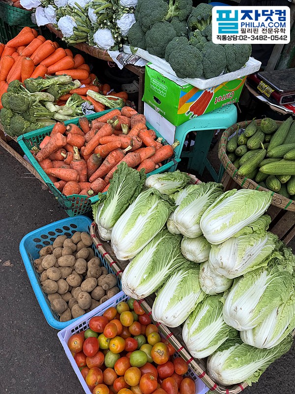 필자닷컴 투어후기