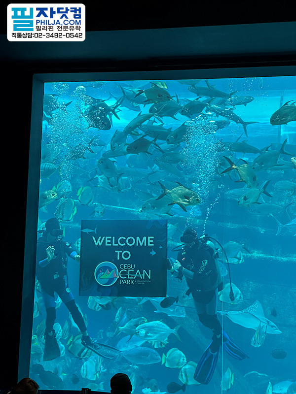48d37f5f837c10eebdc2b37494a36f23_1780033384_1009.jpg 48d37f5f837c10eebdc2b37494a36f23_1780033384_1009.jpg