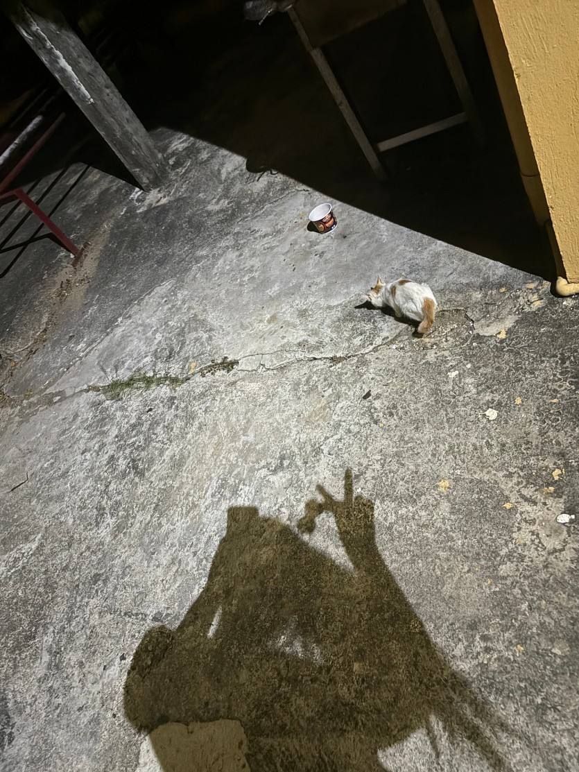 169039e6c44899213a85fddfa32d2dbc_1777855705_9653.jpeg