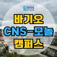 바기오 CNS 모놀 캠퍼스 : 혼자도, 가족도 만족하는 어학원
