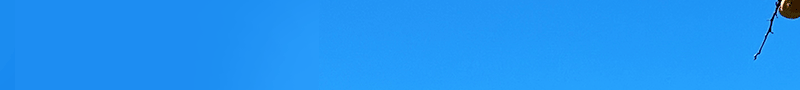 55275c180eafe1f4ccbcfc97f344d81b_1790152426_5136.png