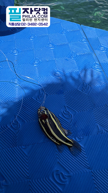 6ed87ef8f6a1e2a60359a03b782efc1d_1792715420_2213.jpg 6ed87ef8f6a1e2a60359a03b782efc1d_1792715420_2213.jpg