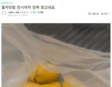 스데라스 서울의 필자닷컴 서비스후기 보러가기