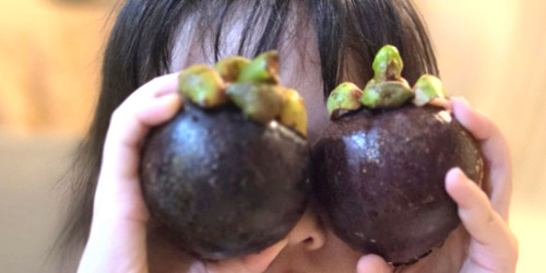 망고스틴을 좋아하는 아이의 과일배송 후기