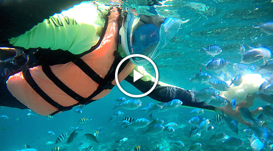 필자 호핑투어 동영상