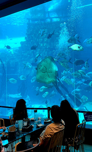 5월 현지이벤트