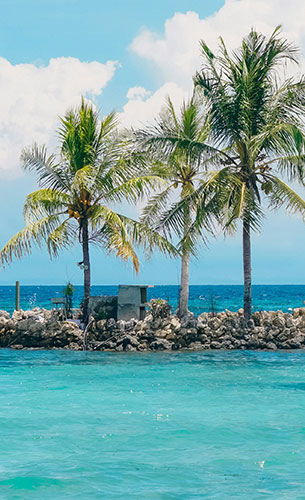 필리핀 비수기연수 혜택