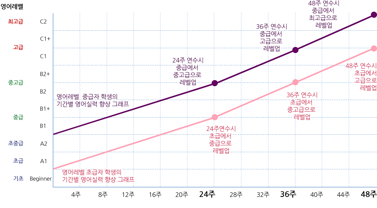 단계별 영어실력 상승 그래프