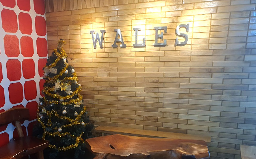 wales 사진