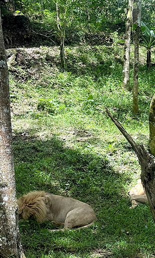 2월 현지이벤트