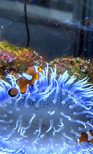 2월 현지이벤트