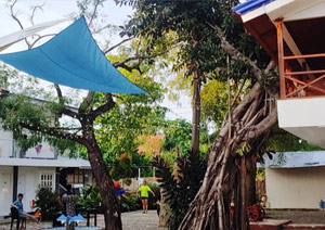 Jungle어학원 사진