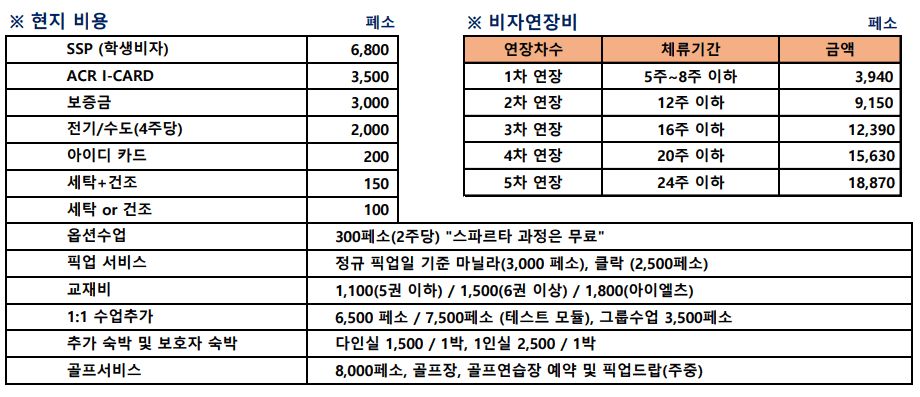 파인스 현지비용